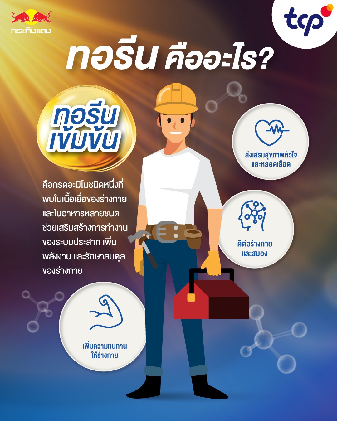 what-is-taurine-kratingdaeng-redbull-benefits